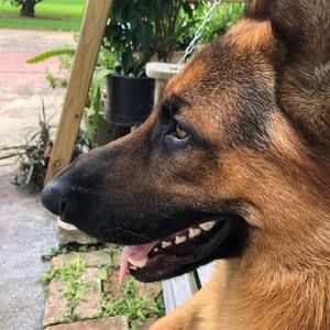 Meet your Posher, Warren